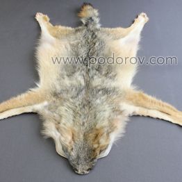 Шкура волка без головы 120 см