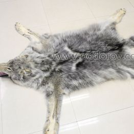 Шкура полярного волка 150 см