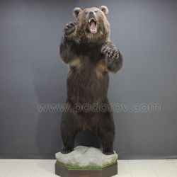 Чучело медведя с поднятыми лапами