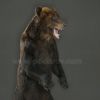 Чучело медведя 240 см